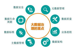 沼泽里的掘金术 大数据时代的数据资产管理五星模型与数据处理服务